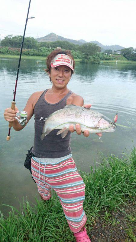 加賀フィッシングエリア 釣果