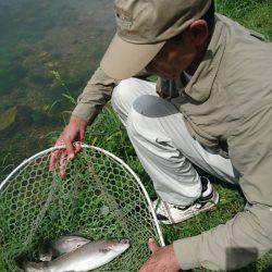 加賀フィッシングエリア 釣果