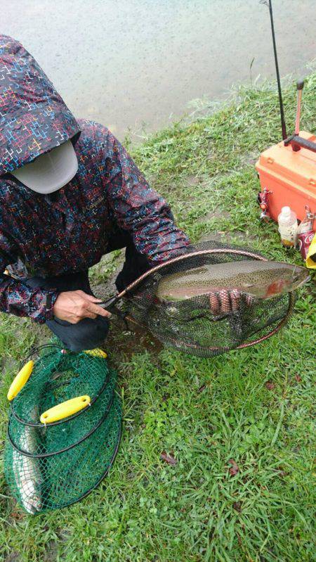 加賀フィッシングエリア 釣果