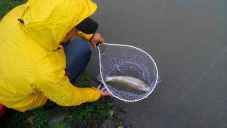 つりぼりあかし 釣果