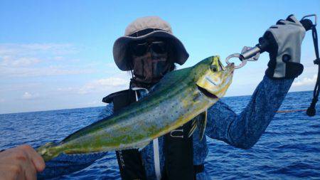 第三共栄丸 釣果