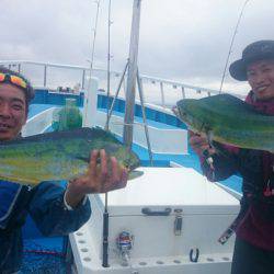 第三共栄丸 釣果