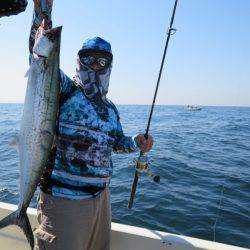 Chase（チェイス） 釣果