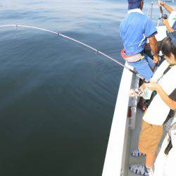 Chase（チェイス） 釣果