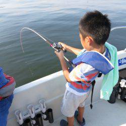 Chase（チェイス） 釣果