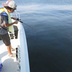 Chase（チェイス） 釣果