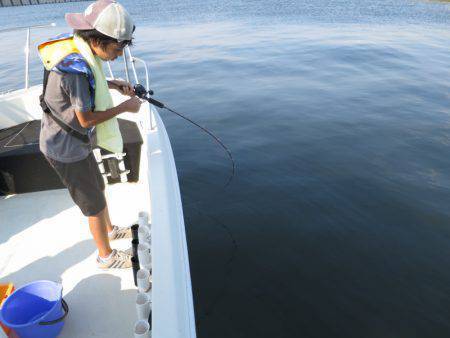 Chase（チェイス） 釣果