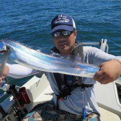 Chase（チェイス） 釣果