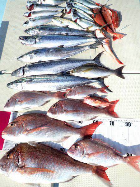 水天丸 釣果