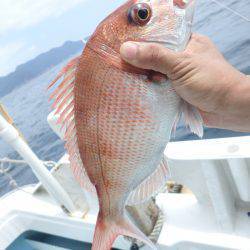 水天丸 釣果
