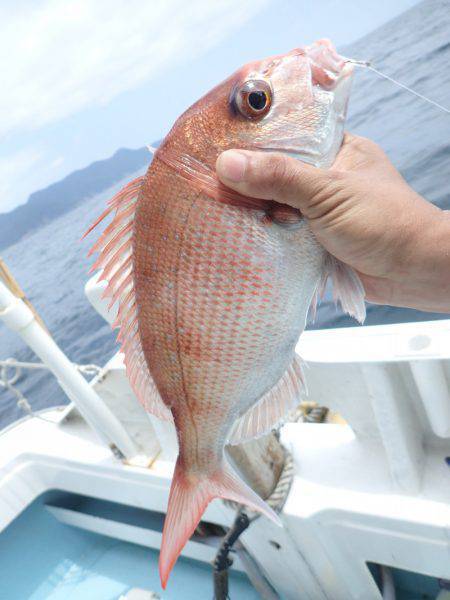 水天丸 釣果