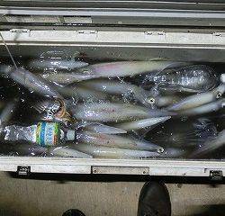 第二清洋丸 釣果