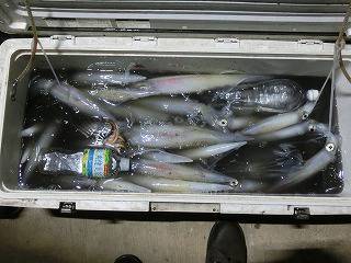 第二清洋丸 釣果