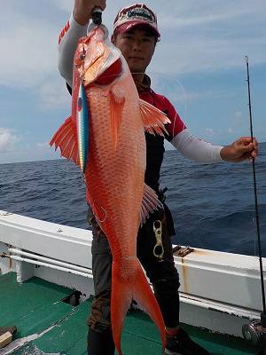 明日丸 釣果