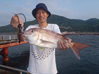 神戸市立須磨海づり公園　ルアーでマダイ