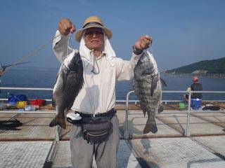 神戸市立須磨海づり公園　落とし込みでチヌ