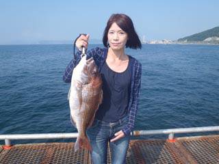 神戸市立須磨海づり公園　ノマセでマダイ