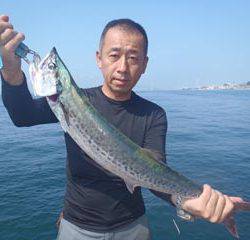 神戸市立須磨海つり公園　サワラ 	69cm