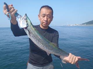 神戸市立須磨海つり公園　サワラ 	69cm…