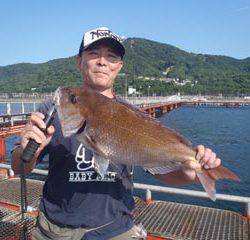 神戸市立須磨海づり公園　ルアーでマダイ