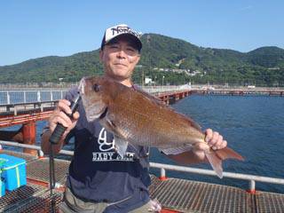 神戸市立須磨海づり公園　ルアーでマダイ