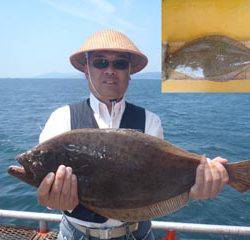 神戸市立須磨海づり公園　ヒラメ　記録賞！