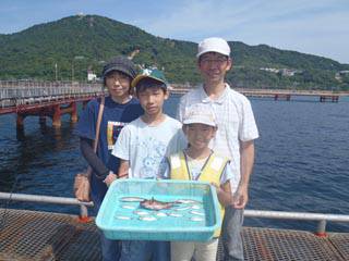 須磨海釣り公園　サビキでアジ・ベラ・ガシラ…