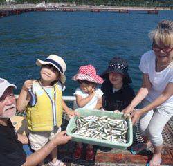 神戸市立須磨海づり公園　サビキでアジ、イワシ、イサキ