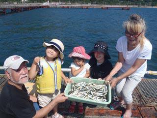 神戸市立須磨海づり公園　サビキでアジ、イワ…