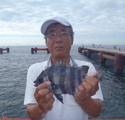神戸市立須磨海づり公園　サンバソウ