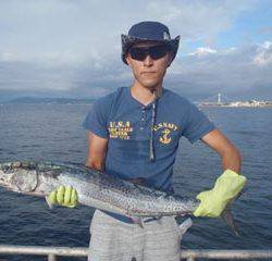 神戸市立須磨海づり公園　ルアーでサワラ