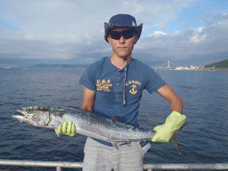 神戸市立須磨海づり公園　ルアーでサワラ