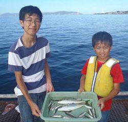 神戸市立須磨海づり公園　サビキでツバス、アジ