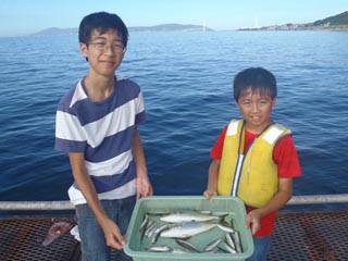 神戸市立須磨海づり公園　サビキでツバス、ア…
