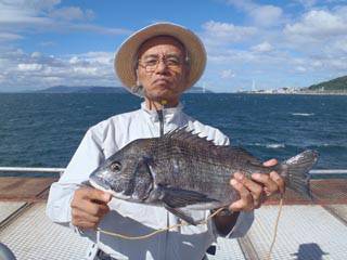 神戸市立須磨海づり公園　チヌ 	43cm