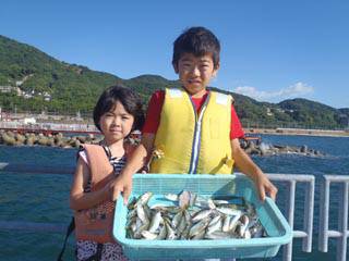 神戸市立須磨海づり公園　アジ105匹ほか