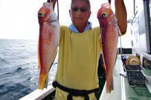 Big One　ビッグワン 釣果