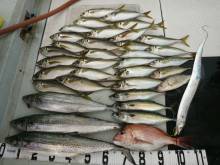 オーシャンスター(Ocean Star) …