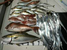 オーシャンスター(Ocean Star) …