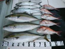 オーシャンスター(Ocean Star) …