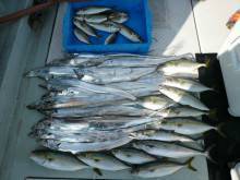 オーシャンスター(Ocean Star) …