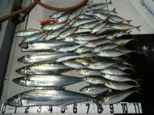 オーシャンスター(Ocean Star) …