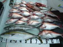 オーシャンスター(Ocean Star) …