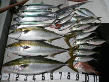 オーシャンスター(Ocean Star) …