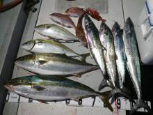 オーシャンスター(Ocean Star) …