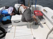 JDI Racing シールズマリンレジャー 釣果