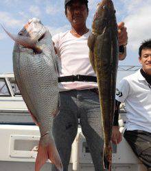 JDI Racing シールズマリンレジャー 釣果