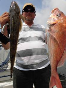 JDI Racing シールズマリンレジャー 釣果