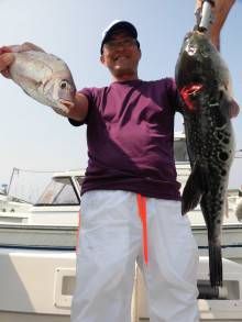 JDI Racing シールズマリンレジャー 釣果