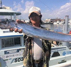 橋安丸 釣果